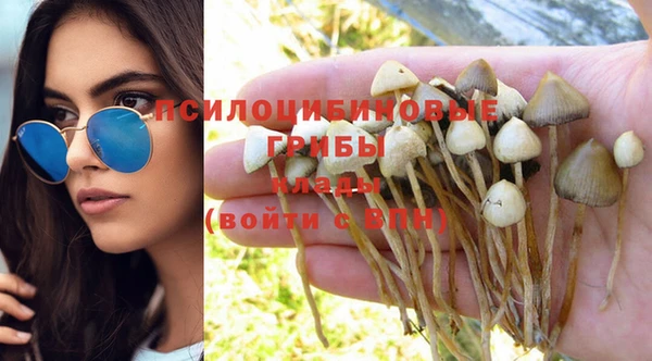 гидропоника Баксан
