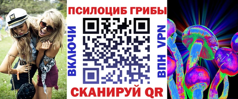 цены   мориарти телеграм  Галлюциногенные грибы MAGIC MUSHROOMS  Вяземский 
